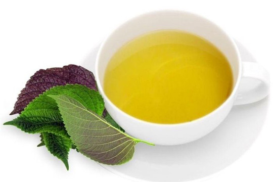 Da trắng căng mướt, sạch mụn sần nhờ 10 lá tía tô