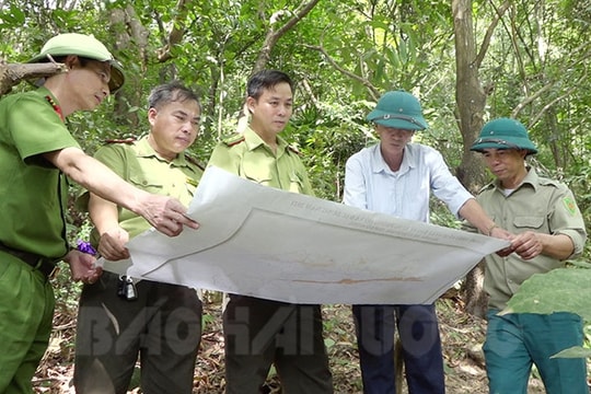Kinh Môn bảo vệ rừng mùa hanh khô