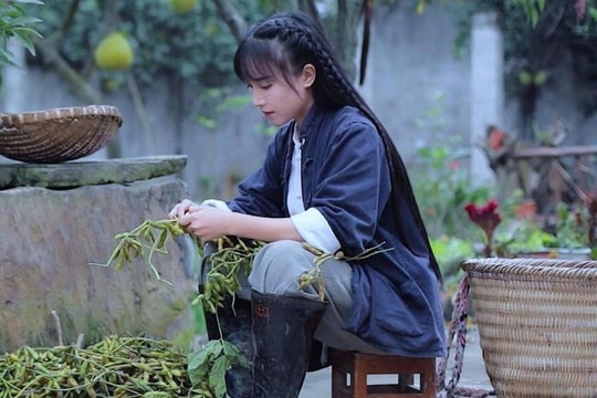 Lý Tử Thất sắp trở lại