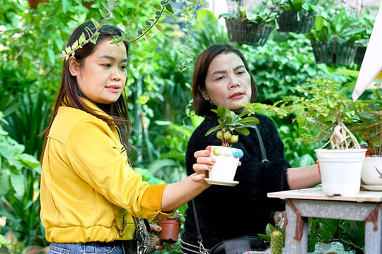 [Photos] Hai Duong city bustlingly prepares for spring