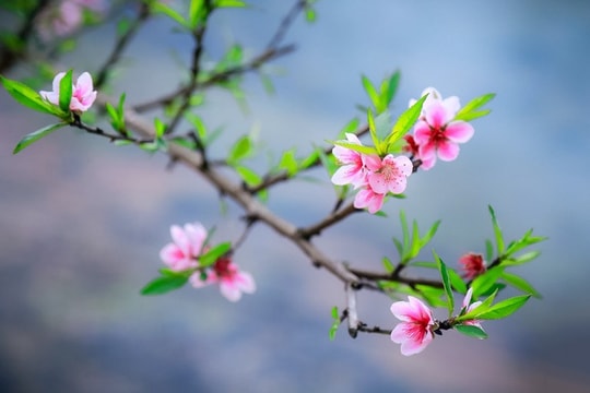Cảm xúc ngày đầu năm 