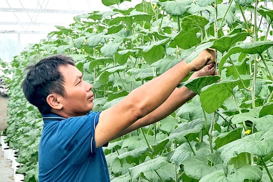 Nông nghiệp tạo đột phá tăng trưởng xanh