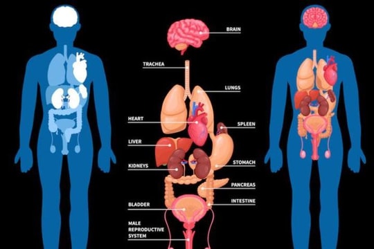 Cách chăm sóc các bộ phận cơ thể để ngăn ngừa bệnh tật tấn công khi trời lạnh