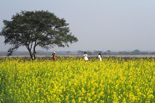 Đồng quê tháng chạp 