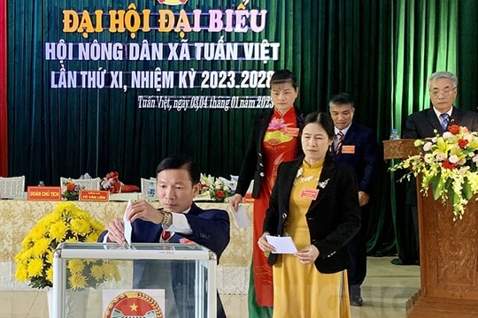 Hội Nông dân xã Tuấn Việt xây dựng 4 mô hình tổ, nhóm liên kết