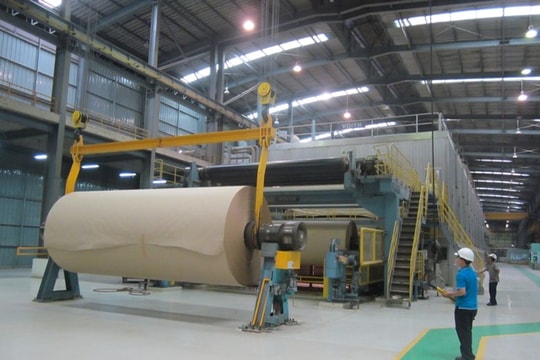 Paper factory granted environmental protection permit