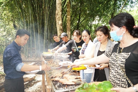 Độc đáo điểm du lịch sinh thái vườn tre mênh mông ở miền Tây