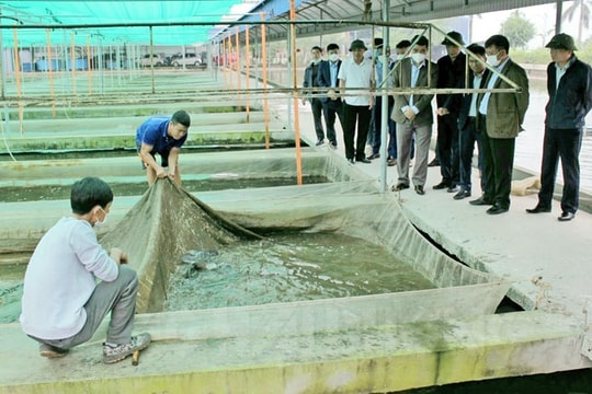 ​Xã Tân Kỳ xây dựng thôn thông minh