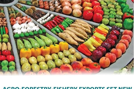 [Infographic] Agro-forestry-fishery exports set new record in 2022