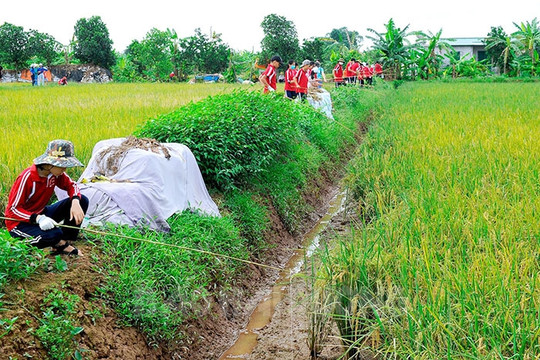 Tứ Kỳ khai thác du lịch tâm linh và trải nghiệm đồng quê