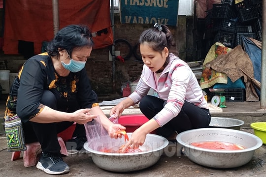 Sôi động thị trường cá chép trước ngày cúng ông Công, ông Táo
