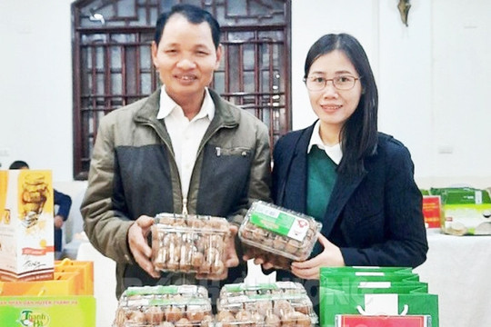 Vải khô - thức quà quý ngày Tết 