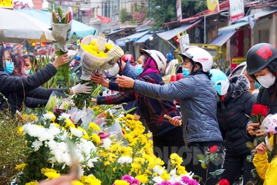 Tấp nập chợ hoa xuân Kinh Môn