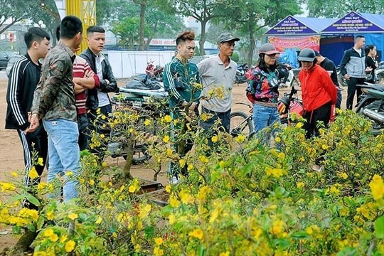 Check in chợ hoa xuân TP Hải Dương
