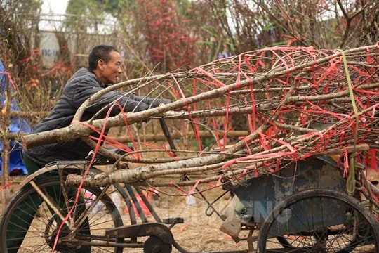 Tất bật mưu sinh những ngày cận Tết
