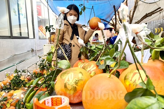 Bưởi đỏ, dứa đỏ đắt hàng