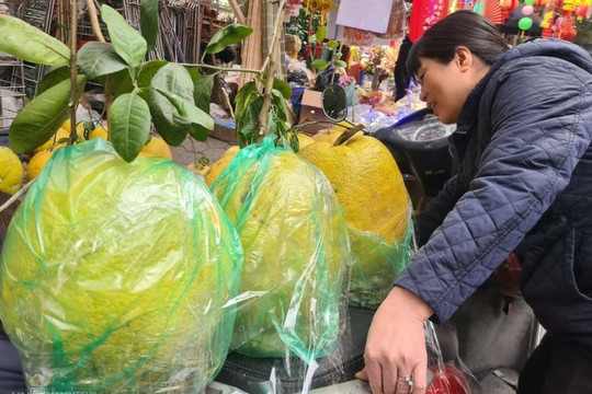 Nửa triệu đồng cặp dừa mạ vàng, bưởi "khổng lồ"