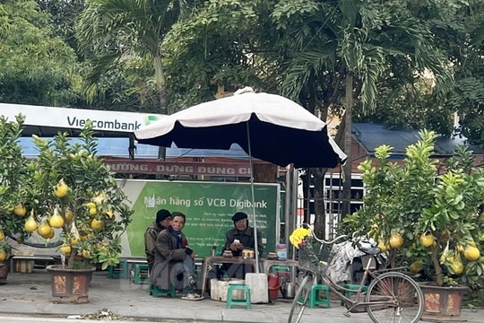Bày bán cây cảnh, bán nước ở điểm chờ xe buýt