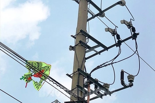 Điện lực Hải Dương cảnh báo vi phạm hành lang an toàn lưới điện
