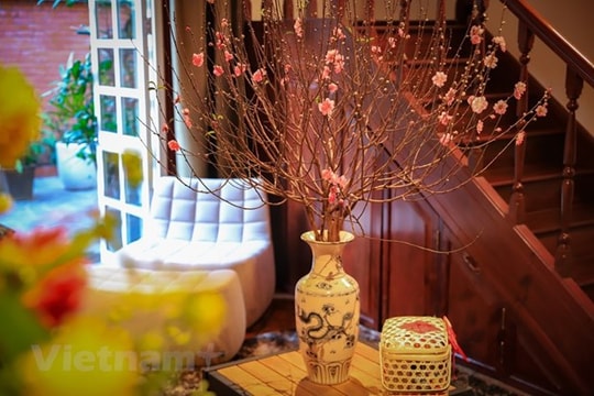 Peach blossoms - symbol of Lunar New Year