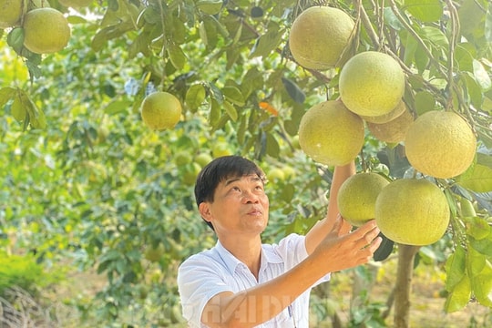 Thanh Hồng chuyển mình phát triển mạnh mẽ