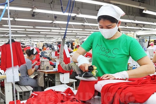 Công ty TNHH May Tinh Lợi phấn đấu sản lượng xuất khẩu và doanh thu tăng từ 15 - 20%