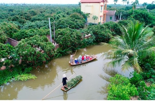 Đến với "miền Tây thu nhỏ" của vùng đất xứ Đông