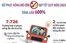 [Đồ họa] Tết Quý Mão: Xử phạt vi phạm nồng độ cồn tăng gần 600%
