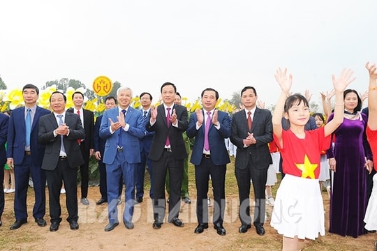Vườn hoa hướng dương ở TP Hải Dương chính thức mở cửa