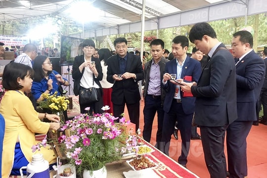 [Photos] Thousands of people attend first culture and tourism week in Con Son