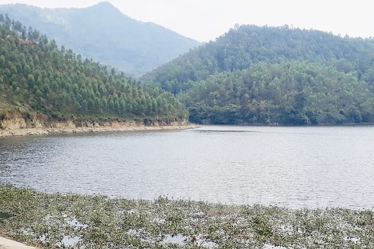 ​Tăng cường quản lý ao, hồ, đầm không được san lấp