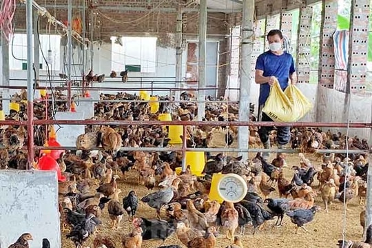 Hơn 1.000 lượt khách hàng vay vốn chính sách trong tháng 1