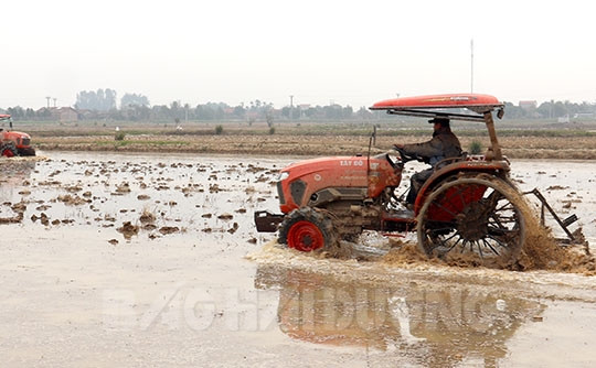 11 địa phương ở Hải Dương đã hoàn thành đổ ải