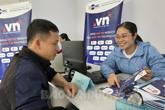 10 khách hàng đăng ký tên miền .vn tại Hải Dương