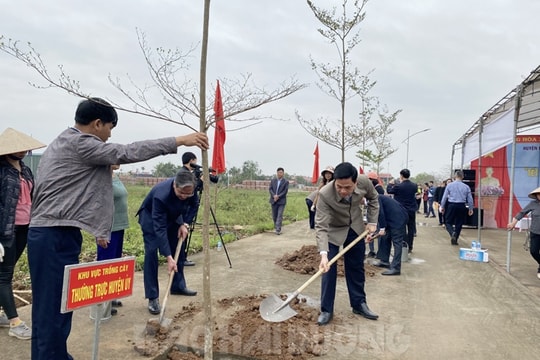 Kim Thành mở rộng diện tích cây ăn quả giá trị kinh tế cao