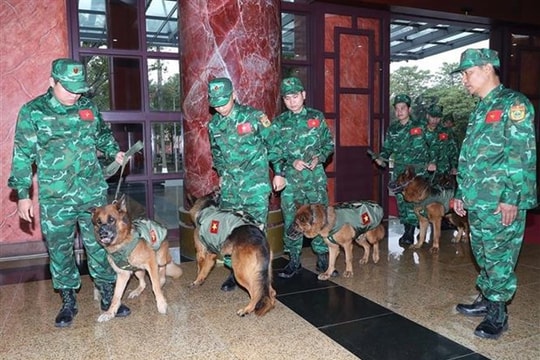 Ministry to send 76 servicemen to help Turkey overcome quake consequences