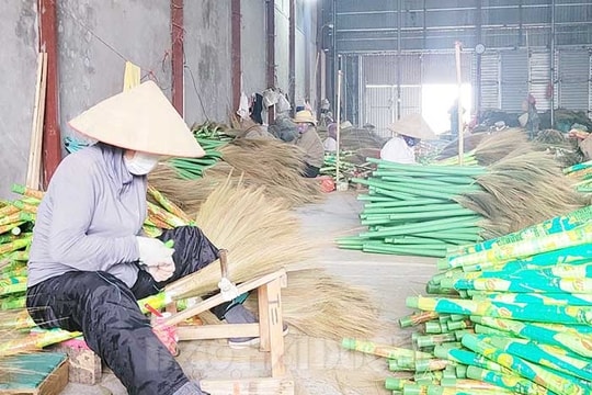 Thu nhập của lao động làm chổi chít ở Lý Đỏ tăng