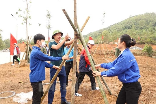 Nhu cầu mua cây giống tăng