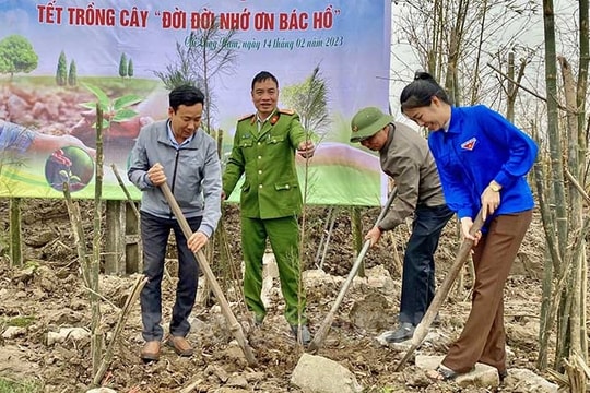 Trồng 700 cây xanh tại đảo Cò