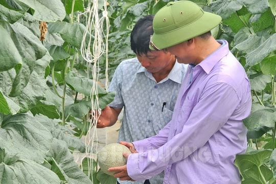 ​Bình Giang xây dựng thêm 6.500 m2 nhà màng, nhà lưới