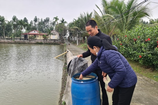Xã Cẩm Hoàng phát triển chăn nuôi bền vững