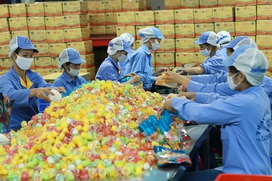 Công ty TNHH Long Hải phấn đấu doanh thu tăng khoảng 100 tỷ đồng