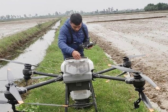 60 ha lúa đông xuân ở Thanh Miện được áp dụng cơ giới hóa 100%