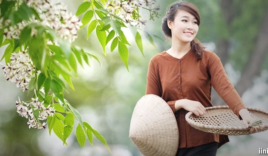 Mùa hoa xoan tím
