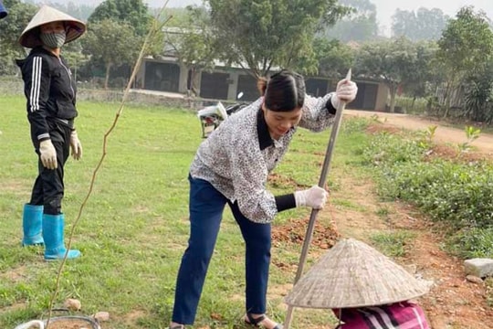 Phụ nữ Chí Linh trồng gần 2.400 cây xanh, cây hoa hưởng ứng  “Tết trồng cây”