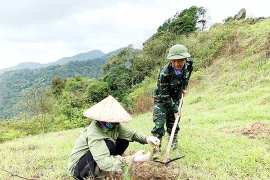 Độ che phủ rừng tăng