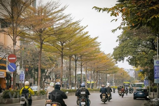Có một Hà Nội đẹp mơ mộng trong mùa cây thay lá