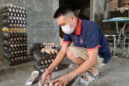 Giá trứng gia cầm, rau xanh tăng 