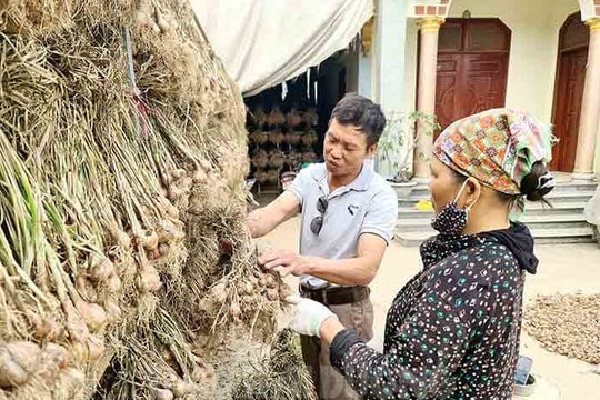 “Nút thắt” trong sản xuất vụ đông