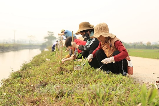 Gần 100 thanh niên phật tử tham gia trồng cây ở xã Thúc Kháng